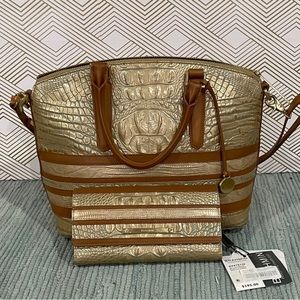 Medium Duxbury in Mojave Vineyard